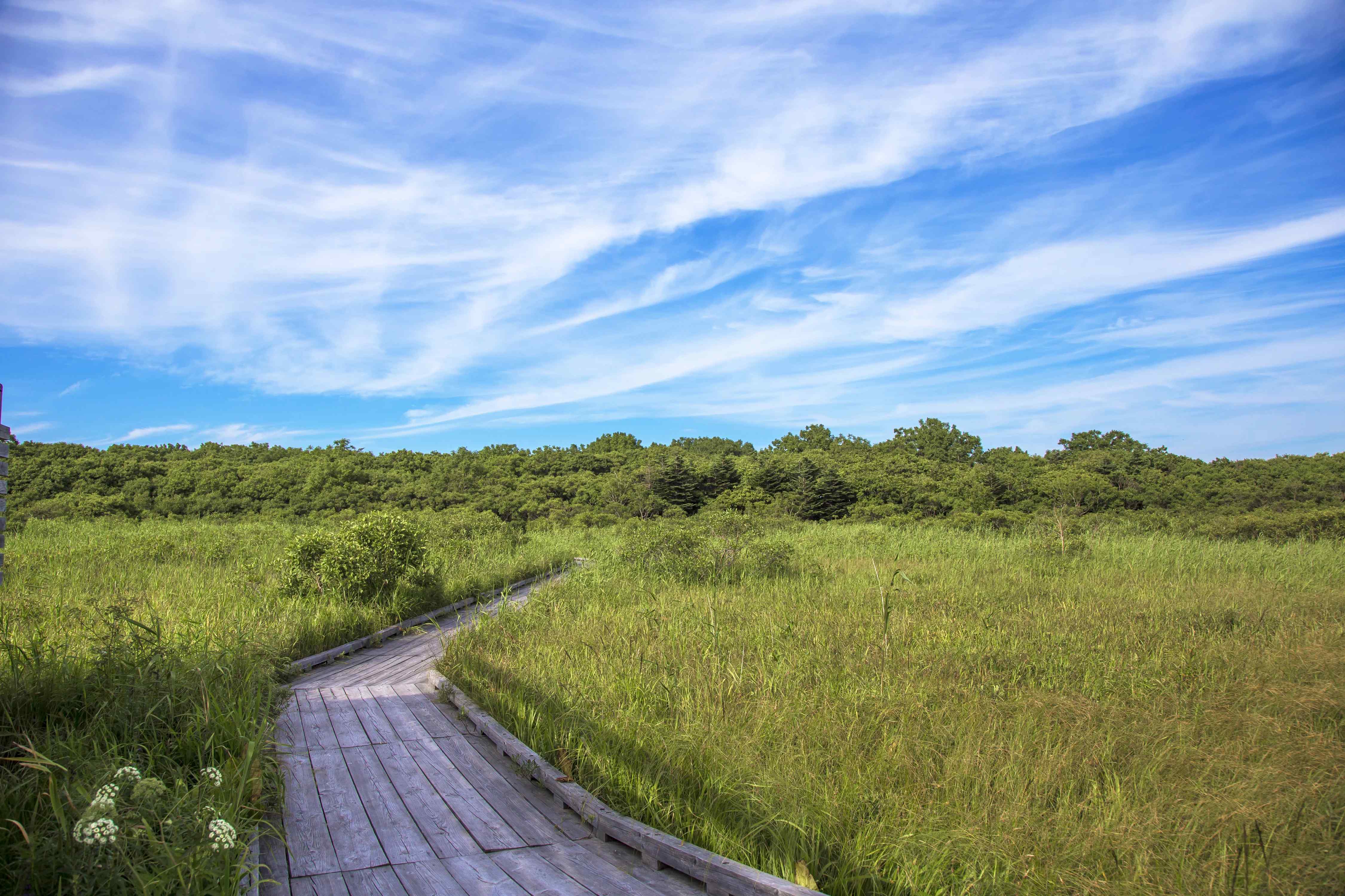 🏞️ 사로베츠 습원 센터(사로베츠시츠겐센타)